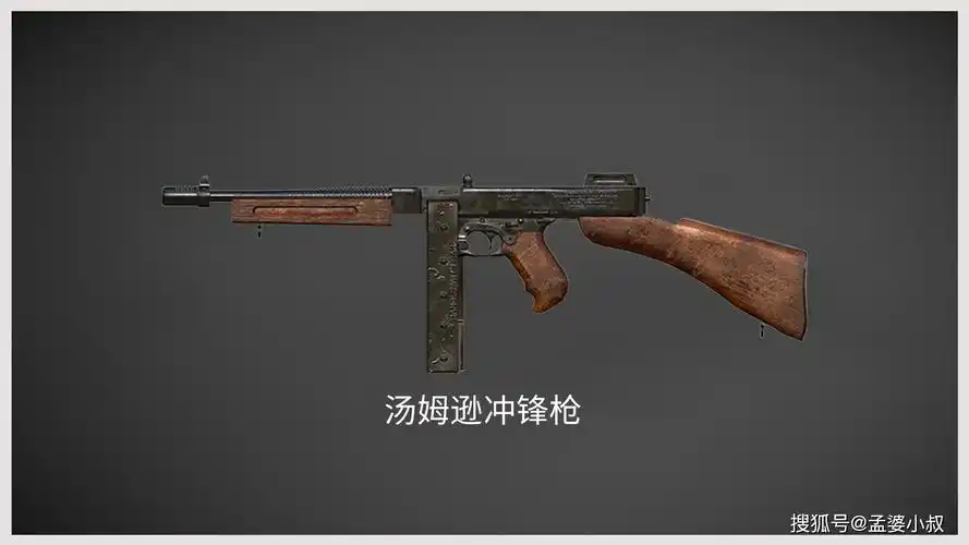 在三把霰弹枪当中,s12k是各项性能最弱的一把,虽然它拥有5连发的能力