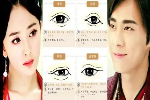 首页 相学 面相   眼睛篇--能传达真实的讯息.