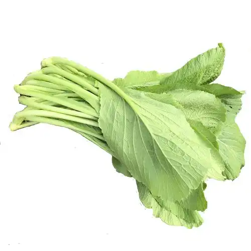 广东潮汕春菜新鲜蔬菜农家自种1斤装全店6斤其它