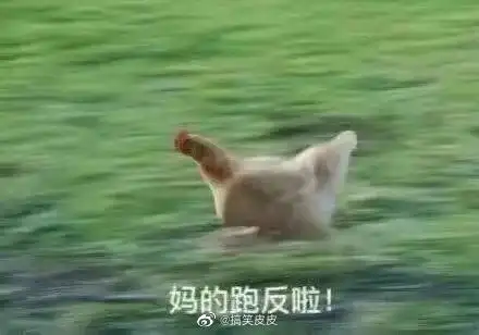 像极了春节放假前的你表情包