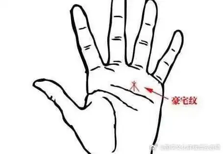 豪宅纹,位于无名指的下方,在感情线的上方,又称金房子.