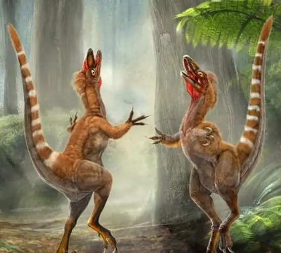 这种恐龙五彩斑斓的黑你见过吗