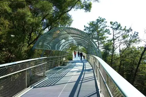 狐尾山空中栈道徒步行,无限风光在眼中.2019.12.8日