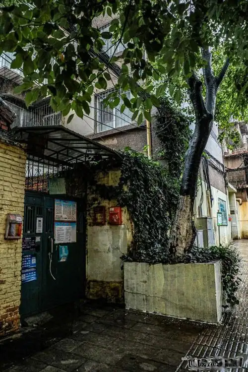 昆明不可复制的经典文化巷!文艺青年不可错过的①段"艳遇"!