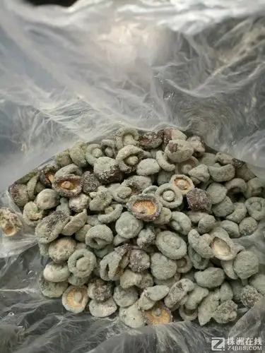 干香菇全霉了.扔了.