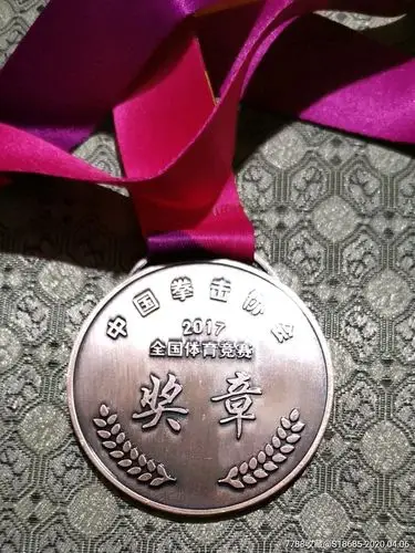 2017年全国拳击比赛第三名奖牌