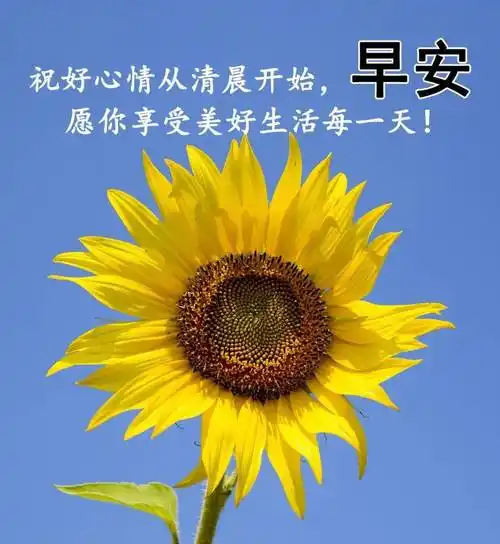 清晨到夜晚跑,道句早安心情好,早睡早起身体好棒,一天心情乐逍遥,上班