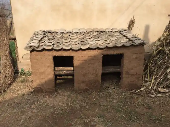 农村生活就是好