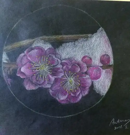 画彩铅一年我的付出开始有了回报