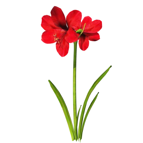 漂亮花儿png免抠图素材