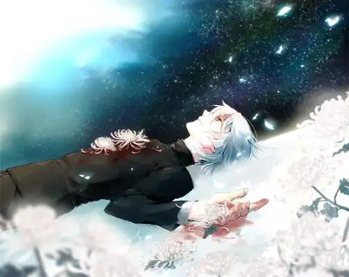 高清 p站 黑衣 银发 白发 金瞳 彼岸花 白色彼岸花 躺 意境 壁纸 动漫