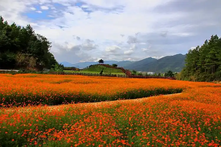 再次陪老爸老妈,逛逛双牌花千谷