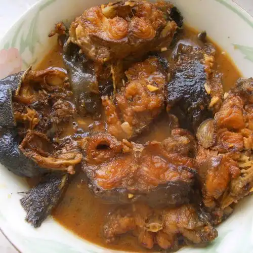 红烧鲶鱼的做法_红烧鲶鱼怎么做_菜谱_美食天下