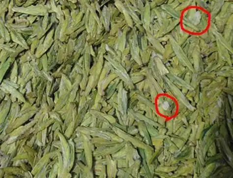 散装茶叶发霉怎么办啊(散装茶叶放了三年还能喝吗)