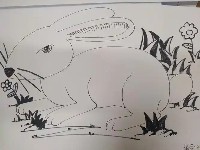 参赛选手简笔画作品美术简笔画考试试题 简笔画图片大全-蒲城教育文学