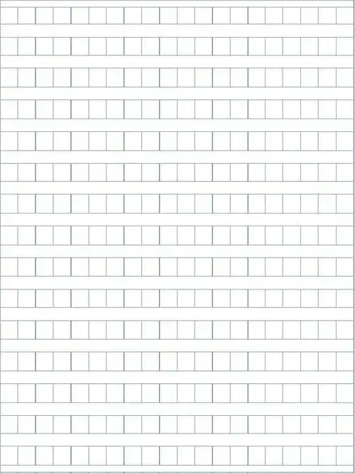 300字小学生作文纸