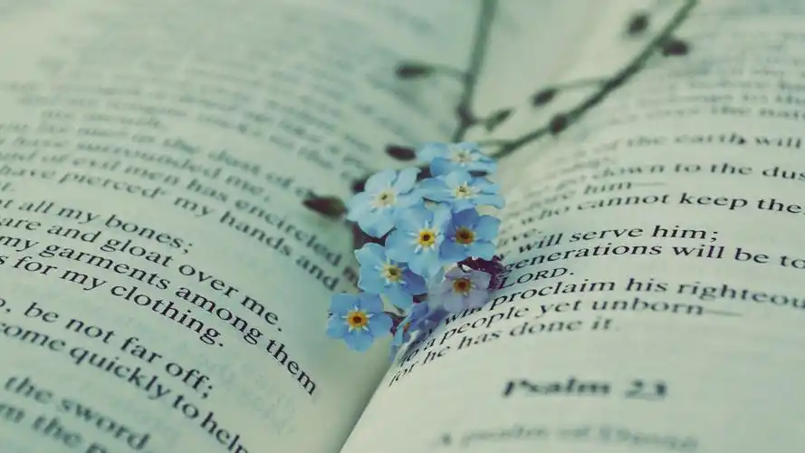 唯美意境,创意,文字图片,唯美,创意,文字,静物,设计,文艺,电脑壁纸