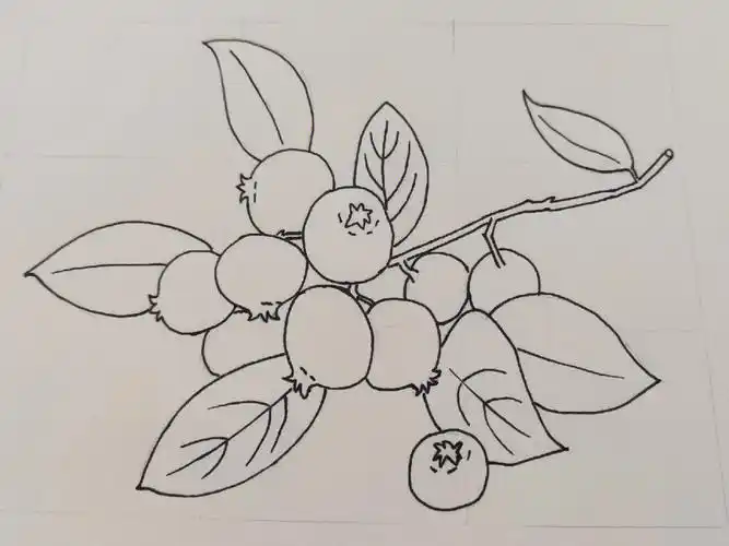 零基础黑白线描临摹好书黑白手绘