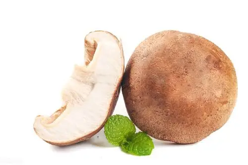 冬菇图片(冬菇是什么样子)