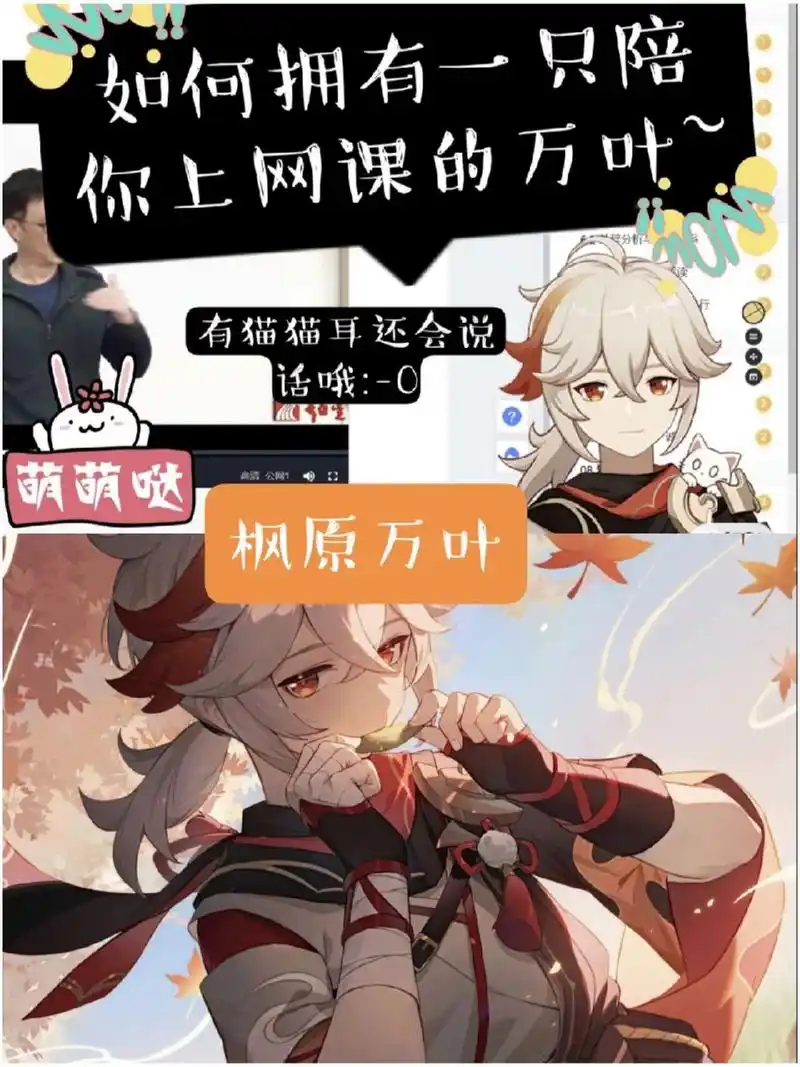 超可爱的原神桌宠(电脑端教程) 93软件名:live2dviewerex 93正版