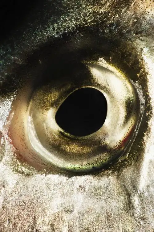 人文,休闲,风景