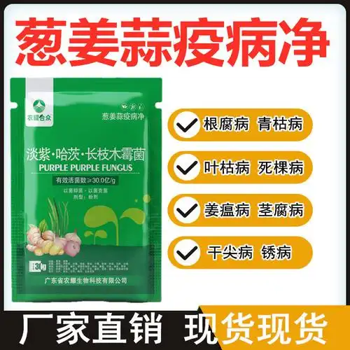 韭葱姜蒜干尖灵一喷绿大葱锈病黄叶病小葱大蒜专用药杀菌剂叶面肥