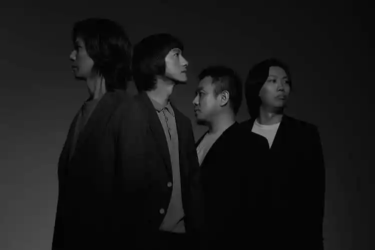 达达乐队被误解的与最重要的