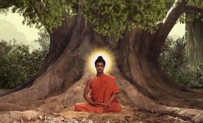 你怎么看佛道修行?|佛陀|自性|觉性_网易订阅