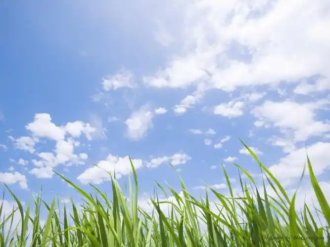 蓝天白云草地高清图片素材(17p)