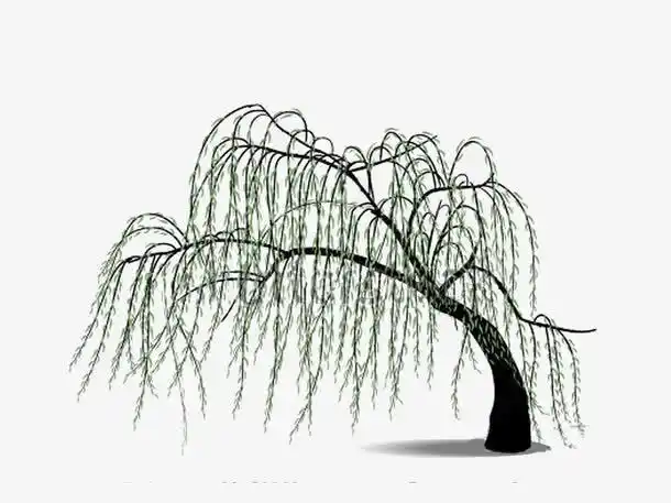 柳树怎么画河边柳树简笔画怎么画简单好看荷花荷叶池塘简笔画漂亮的