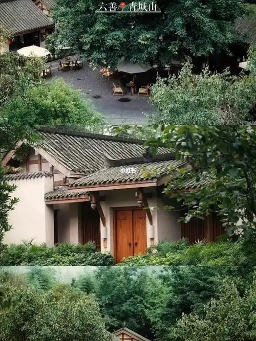 太疯狂了75不到一千块钱就可以住到六善酒店