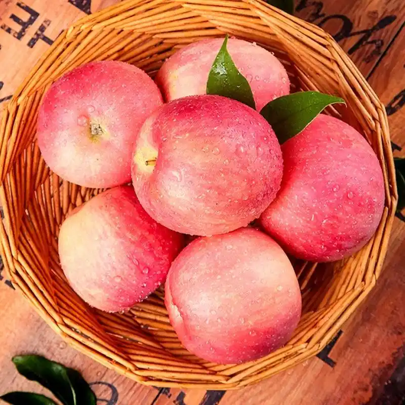 9】山东烟台栖霞红富士苹果新鲜水果    当季整箱礼盒装大果包邮糖心