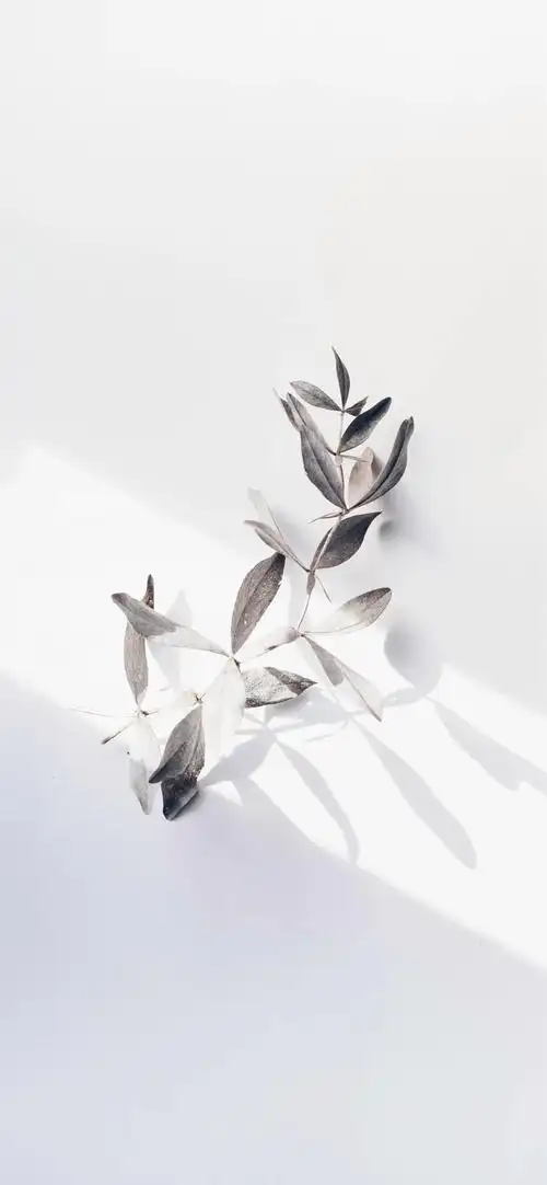 白色简约壁纸朋友圈背景图