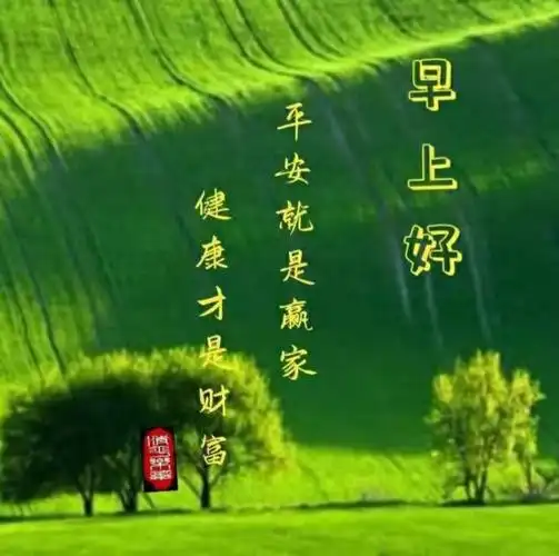 一片真诚,胜过千言万语,一句早安,健康,快乐,幸福永远 ……………早安