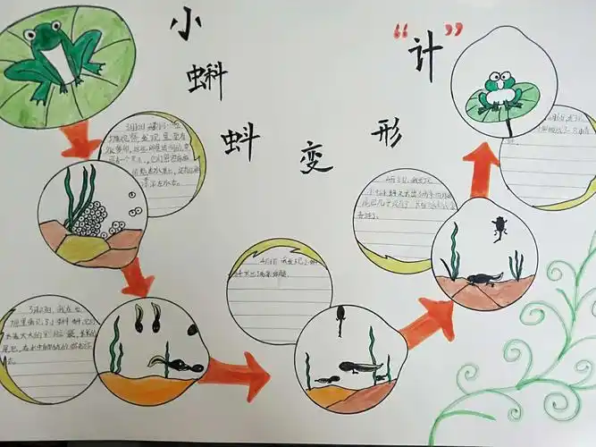 百花开 清味芬芳淡香来 写美篇活动方案: 活动内容:"小蝌蚪"成长记 三