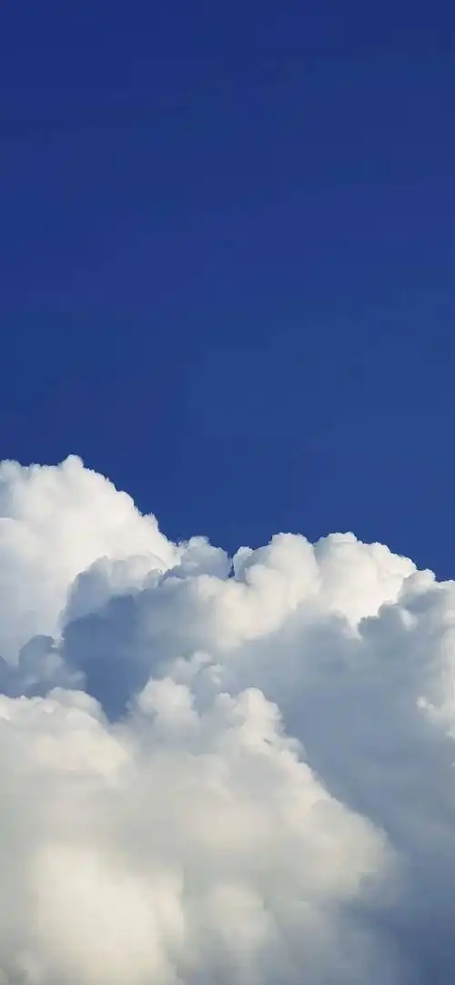 壁纸|热门抖音壁纸