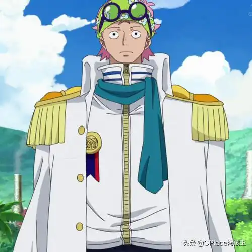 海贼王海军等级划分(海军职位等级制度简介)-第6张图片