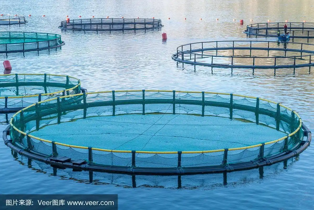 养鱼用网箱