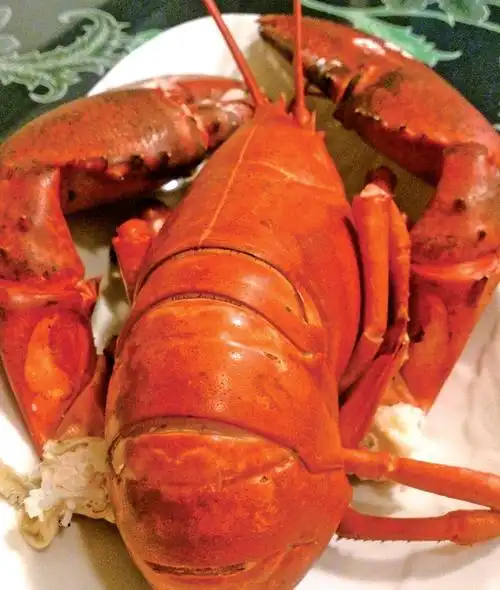 美食波士顿大龙虾来袭