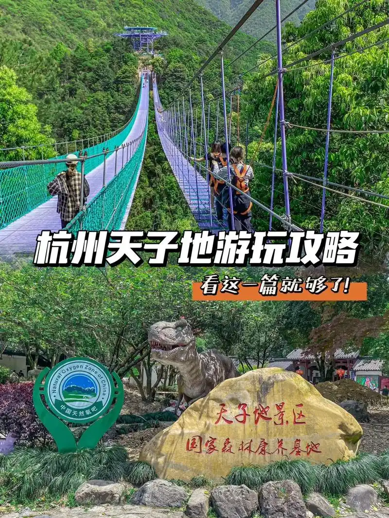 桐庐天子地国家森林康养 - 抖音