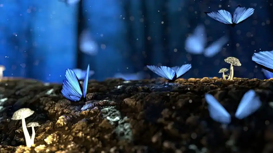 蓝色蝴蝶黑暗中发光唯美壁纸