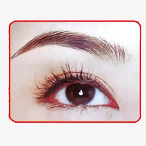 举报 下载透明png收藏 素材分享 素材信息 编号 : rvcfamkggk 格式