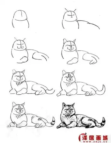 猫的22种画法(18)---猫咪线描速写教程之横卧着的肥猫画法步骤