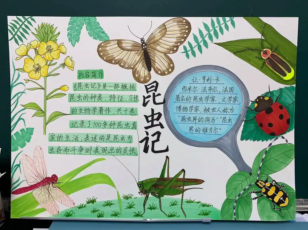 手抄报 #昆虫记手抄报 #马克笔手绘 #简笔 - 抖音
