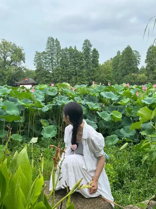 小荷才露尖尖角