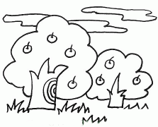 丰收果园简笔画