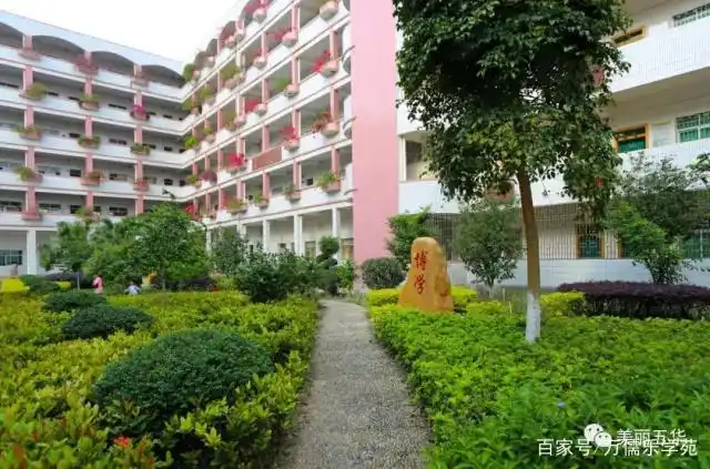 广东省一级学校—五华县田家炳中学