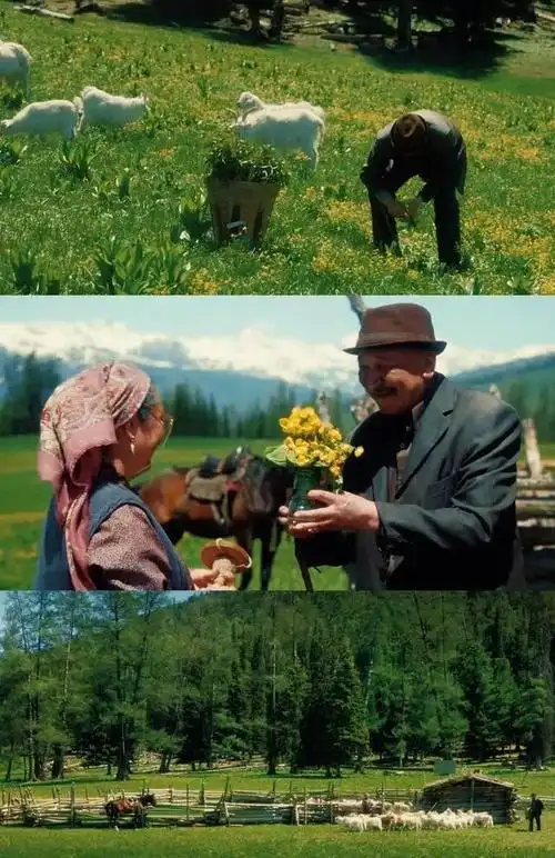 李枫|守护者|大江大河|他们的故事_网易订阅