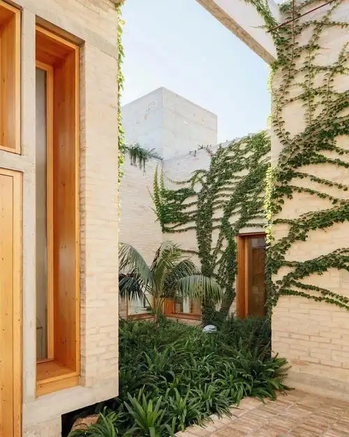 那你就精心的去给它搭一个好看的架子,或者是一个好看的造型,它都能帮