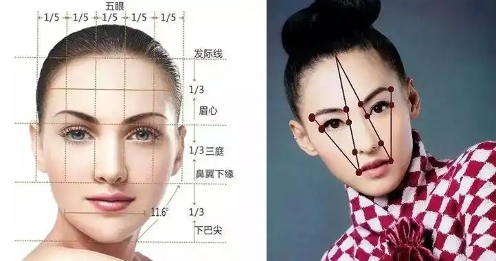 在比例构成美的这一结构中,"三庭五眼"的黄金比例只局限于平面五官